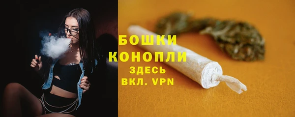 мдпв Горно-Алтайск
