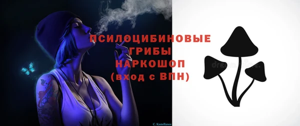 мдпв Горно-Алтайск