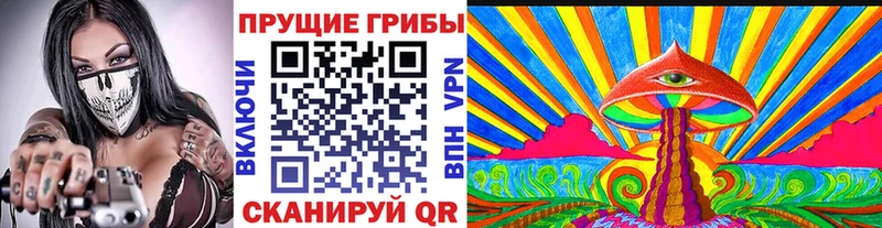 Псилоцибиновые грибы Psilocybine cubensis  где продают наркотики  Нижневартовск 